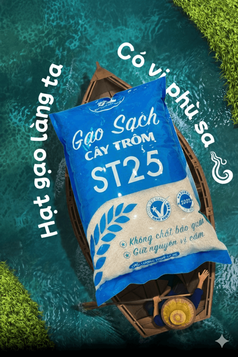 Gạo ST25 (Lúa Tôm)